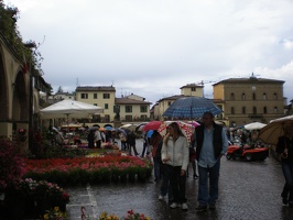 Greve in Chianti74